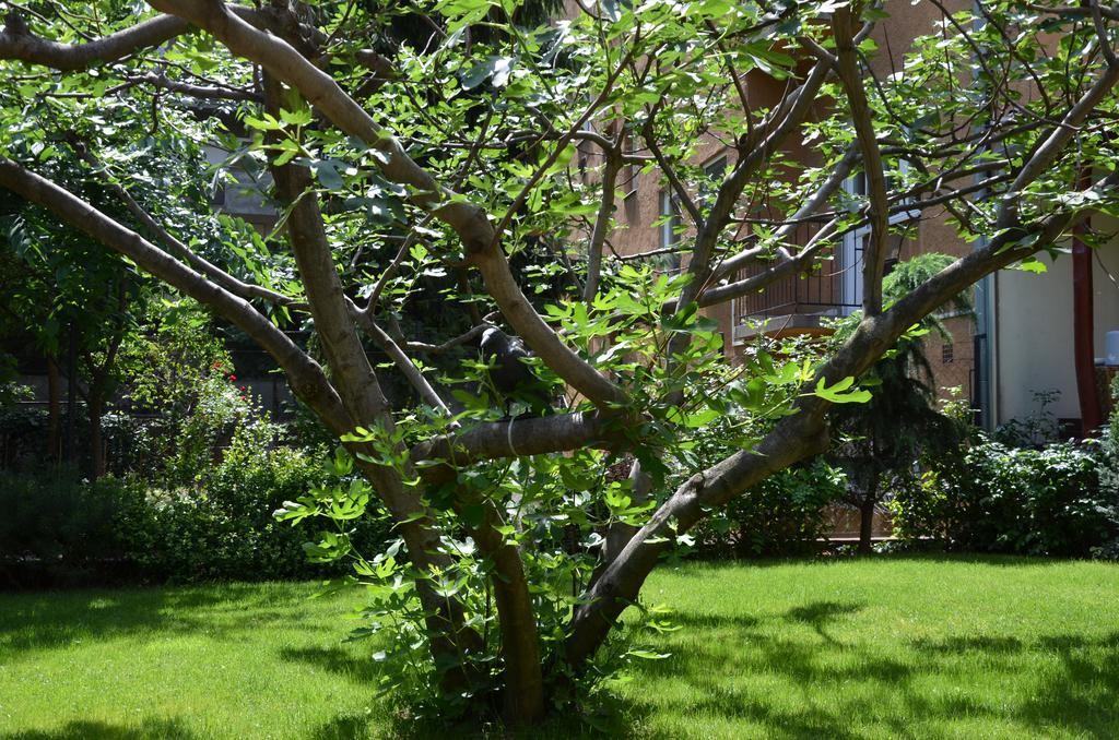 Fig Tree House Budapest Exterior foto