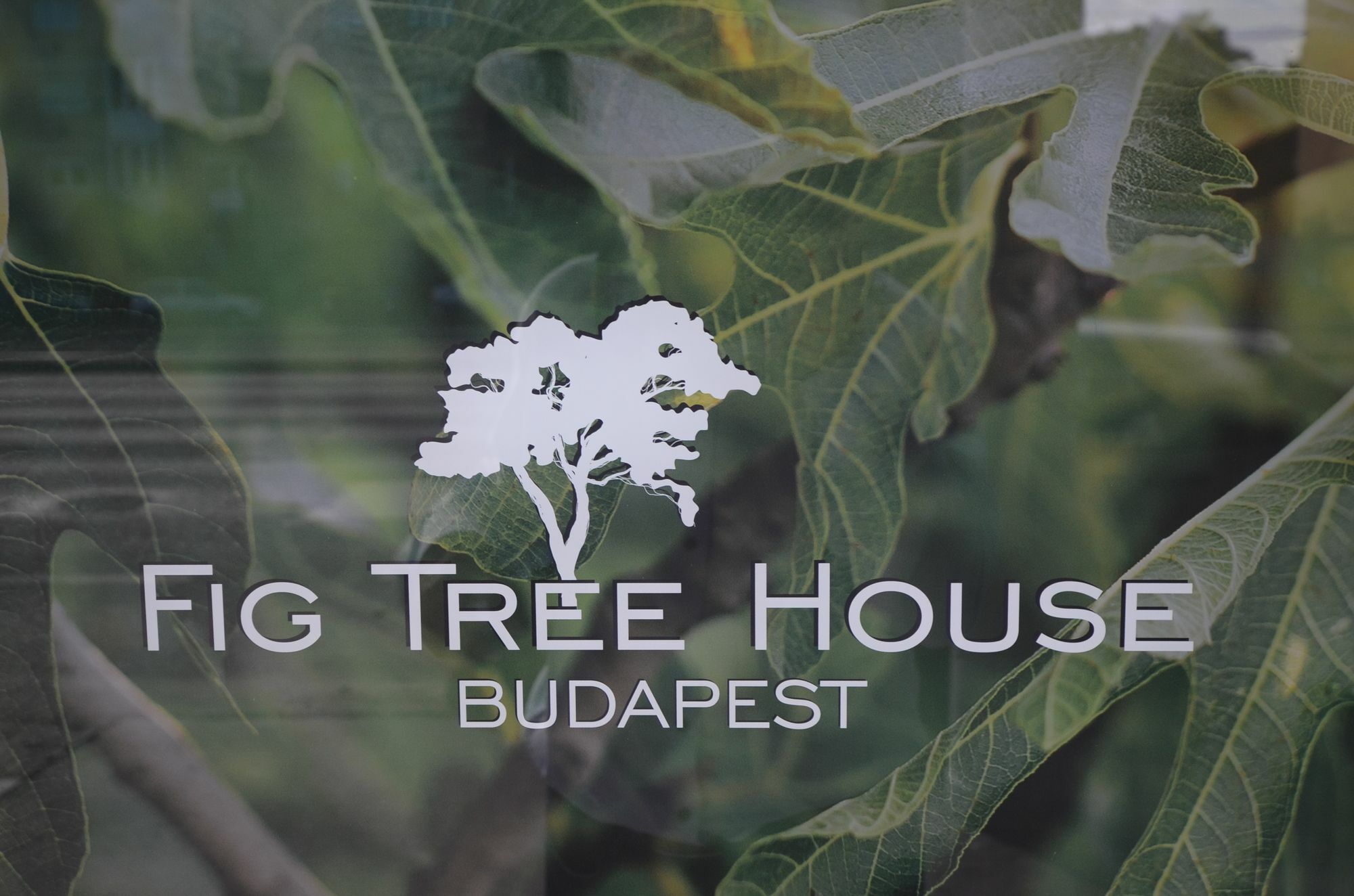 Fig Tree House Budapest Exterior foto